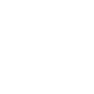 Acceron Infosol Pvt. Ltd. logo