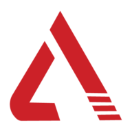 Altis Infonet Private Limited logo