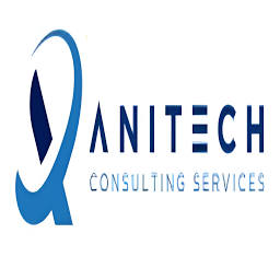 Anvita Systems logo