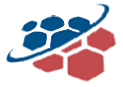 Arceus Infotech Pvt. Ltd. logo