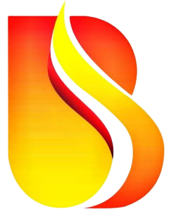 Balaji It Solution logo