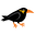 Beo Software Private Limited logo