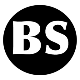 Beryl Systems Private Limited logo