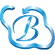Bhavitra Technologies Private Limited logo