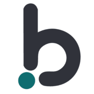 Big Brand Bucket Pvt Ltd logo