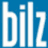 Bilz Information & Technology Services Private Limitee logo