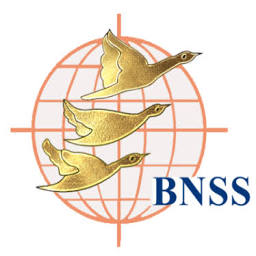 Blue Nile Software Systems logo