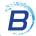 Blue Wave It Solutions India Pvt. Ltd. logo