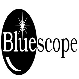 Bluescope Information Technology (P) Ltd logo