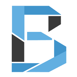Bluesoft Infotech logo