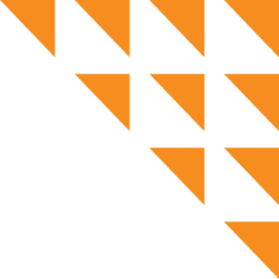 Brainstream Technolabs Pvt. Ltd. logo
