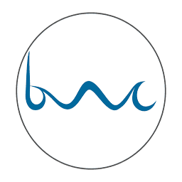 Brainwave Consulting (Bwc) logo