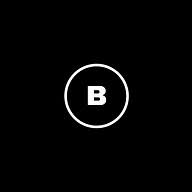 Brandsystems logo