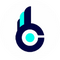 Brenin Inc. logo