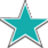Brilliant Star Software logo