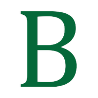 Briltus Services logo
