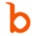 Brio Infotech Private Limited logo