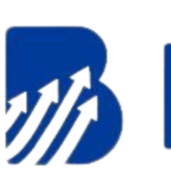 Brudhu Technology Solutions Private Limited logo