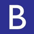 Byasa Tech Solutions logo