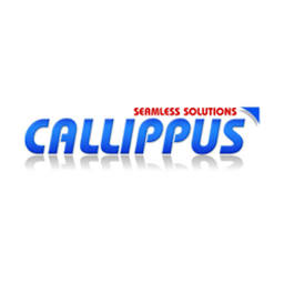 Callippus Solutions Pvt. Ltd logo