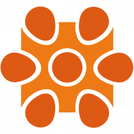 Caprus It Private Limited logo