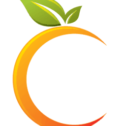 Citrus Informatics (India) Pvt Ltd logo