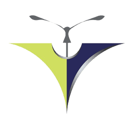 City Light Infotech Llp logo