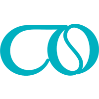 Codeflies logo