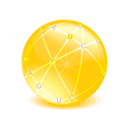 Codon Software Private Limited logo