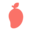 Coralmango Solutions logo
