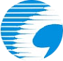 Core Info Solutions Private Limited logo