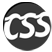Css Player It Solutions Pvt. Ltd. logo