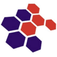 Cyberace Infovision Private Limited logo