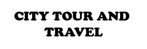 Delhi Cab Solution logo