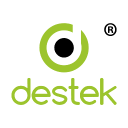 Destek Infosolutions Private Limited logo