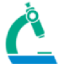 Detox Corporation Private Limited - India logo