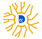Dev Systems And It Services Pvt Ltd logo