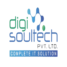 Digisoultech Private Limited logo