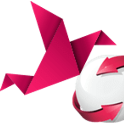 Digital Web Weaver logo