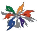 Dreamteam Technologies logo