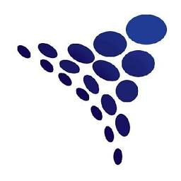 Drs It Consultancy Pvt Ltd logo