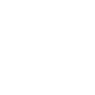 Electrono Solutions Pvt. Ltd. logo