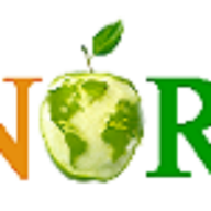 Enormous It logo