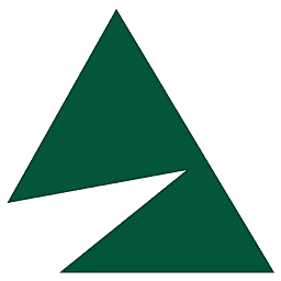 Erp Analysts (India) Pvt. Ltd. logo