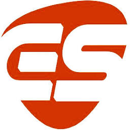 Everonic Solutions logo