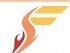 Falcon Software Solution logo