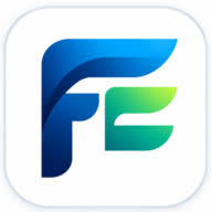 Firstenquiry Digital Media logo