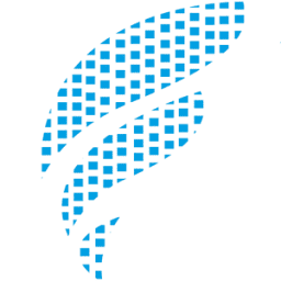 Flair Network Systems Pvt. Ltd. logo