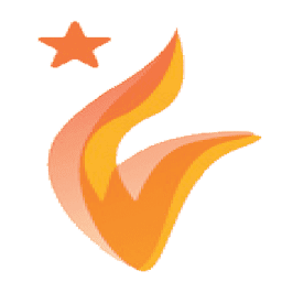 Flying Stars Informatics logo