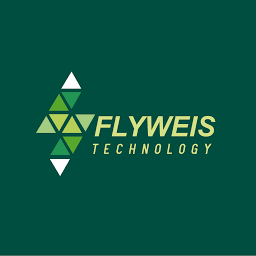Flyweis Technology logo